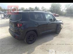 جيب رينيجيد